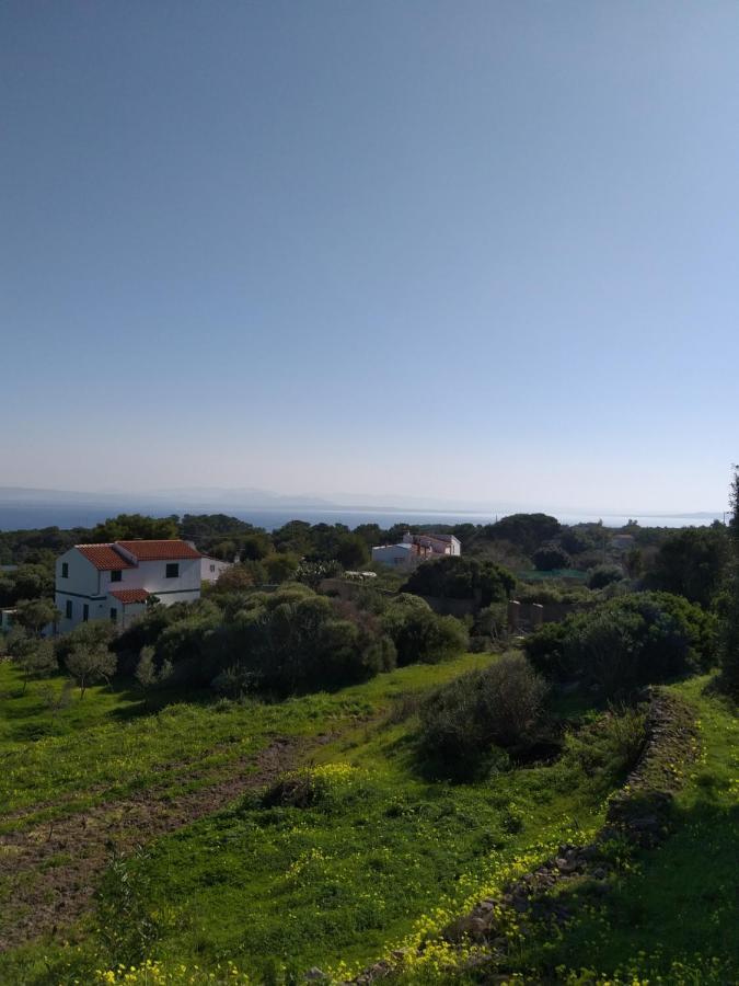 Apartment Panoramica Con Vista Mare