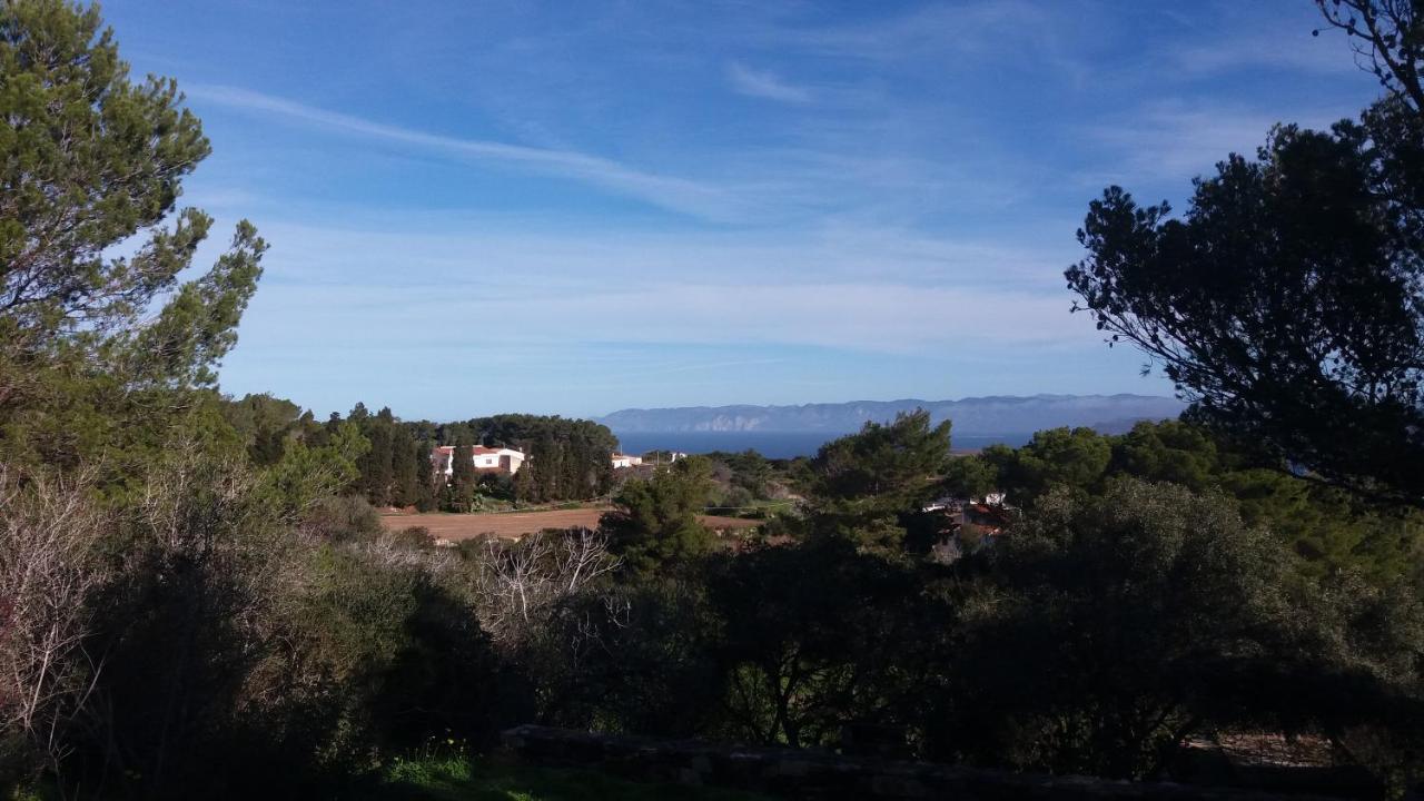 Panoramica Con Vista Mare Apartment Carloforte (Isola di San Pietro)